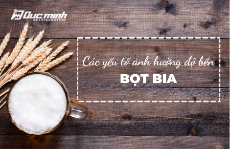Tìm hiểu về bọt bia – Các yếu tố ảnh hưởng đến độ bền của bọt bia