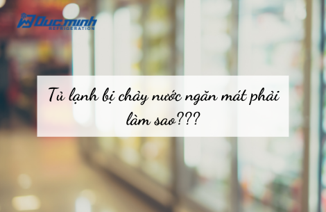 Tủ lạnh chảy nước ngăn mát: Nguyên nhân và cách khắc phục