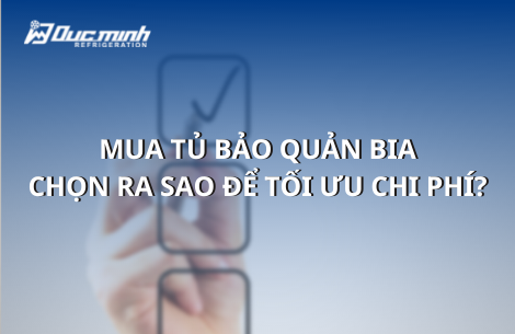 Mua tủ bảo quản bia nên chọn loại nào để tối ưu chi phí đầu tư?
