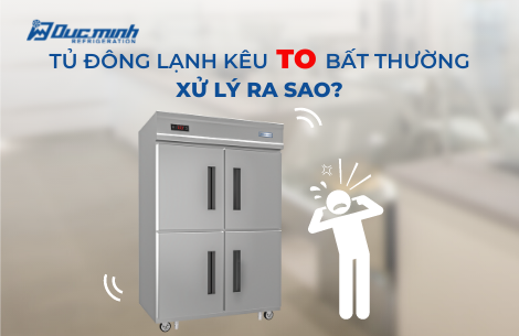 Tủ đông lạnh kêu to – đâu mới là “thủ phạm” gây ra?