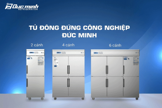 Tủ đông đứng quạt gió Inox Đức Minh – Tủ đông đứng công nghiệp chất lượng cao