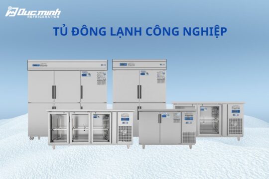 5 Tiêu chí cần quan tâm khi mua tủ đông công nghiệp