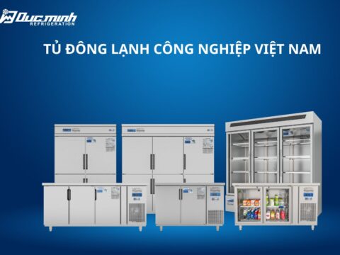 Xu hướng chọn mua tủ đông lạnh công nghiệp Việt Nam