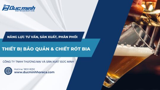 Catalogue tủ bảo quản bia Đức Minh
