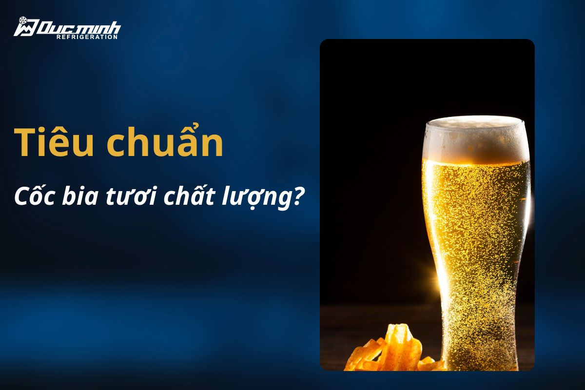 Tiêu chuẩn cốc bia tươi chất lượng