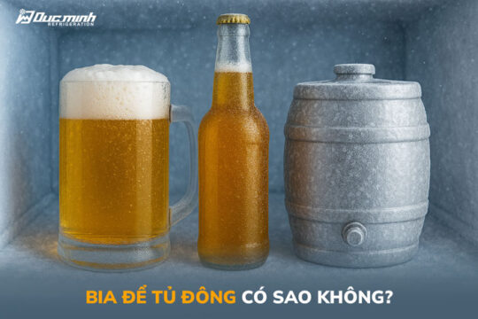 Bia để tủ đông có sao không? Những điều bạn cần biết