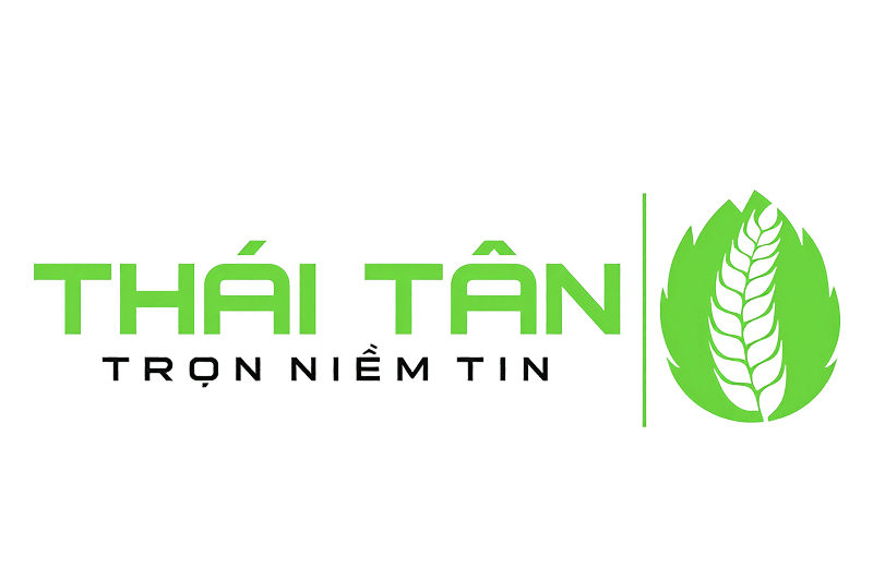  Thái Tân 