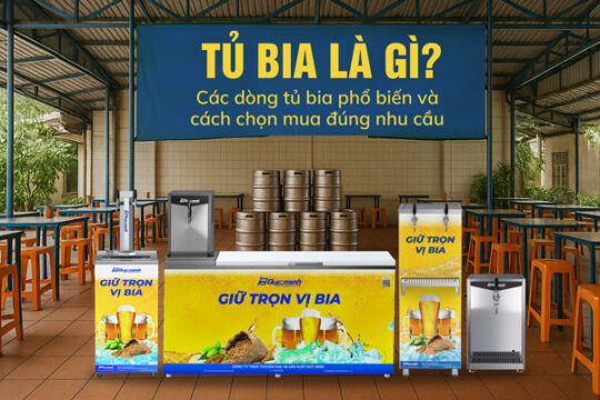 Tủ bia là gì? Các dòng tủ bia phổ biến và cách chọn mua đúng nhu cầu