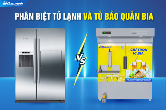 Phân biệt tủ lạnh và tủ bảo quản bia. Chọn đúng thiết bị, giữ trọn vị bia