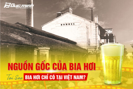 Nguồn gốc của bia hơi. Tại sao văn hoá bia hơi chỉ có tại Việt Nam