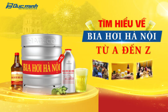 Bia hơi Hà Nội: Lịch sử, Hương vị và Cơ hội kinh doanh