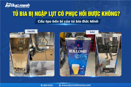 Hướng dẫn khôi phục tủ bia sau ngập lụt