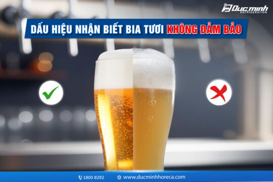 9 DẤU HIỆU NHẬN BIẾT BIA TƯƠI KHÔNG ĐẢM BẢO
